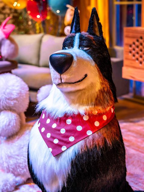 The Secret Life of Pets: Off the Leash! photo, from ThemeParkInsider.com